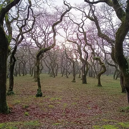 Apartamento Pose Baio *