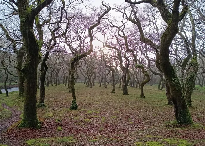 Apartment Pose Baio *